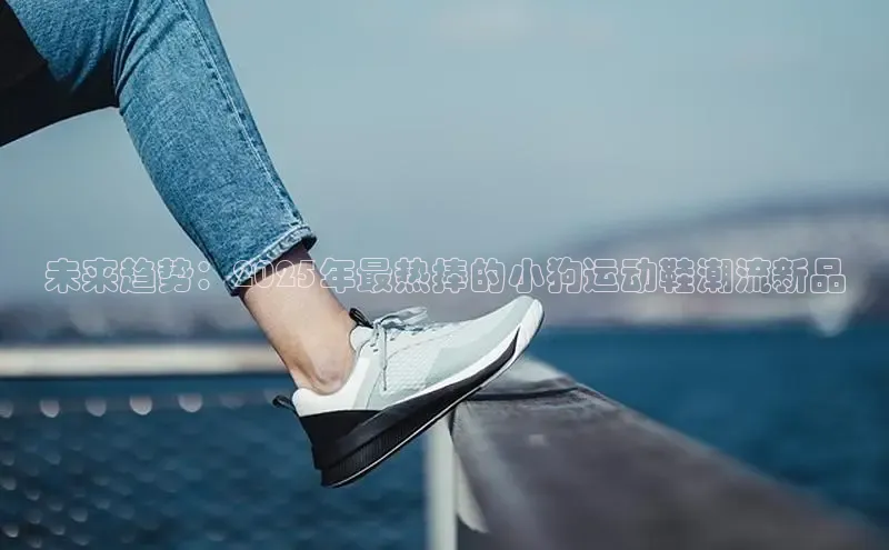 未来趋势：2025年最热捧的小狗运动鞋潮流新品